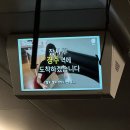 천마중학교 | 경주 황남빵을 아시나효👨🏻‍🍳