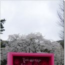 호암미술관 이미지