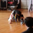 통도사자비원 이미지