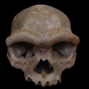 YK dental lab 이미지