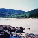 도경