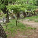 구례통나무펜션 이미지