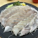 더피쉬 이미지