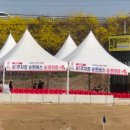 저도 임시주차장 이미지