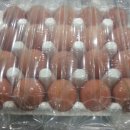 푸른초원농원 이미지