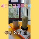 세종 근교 공주 살롱 신관동 카페 무령왕릉 근처 감성 카페 [더풋샵 세종 보람점]
