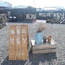 하도리 보통날 이미지