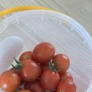 서아목장 이미지