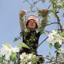 한창메디칼 이미지