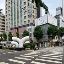 미미까까 | [파로 효소 추천]동대문 미미 라인 에서 파로 효소 와모야를 만나다!