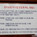 번지농장 티스토리