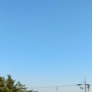 자작도사철민박 이미지