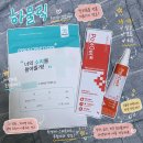 포비 | 강아지 외이염 치료제 하울릭 포비겔 귓병 관리 후기