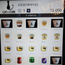 캣인큐브 이미지