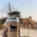 38.5DOG 이미지