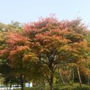 진철농장
