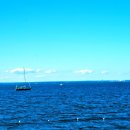 추억의 날개 이미지