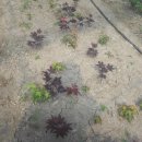 아도농장 이미지