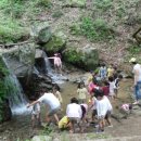 용인아이숲유아숲체험원 이미지