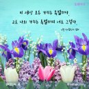 월드힐링센터 이미지