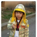 가락태권도 이미지