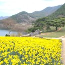 저수지목장 이미지