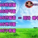 사교댄스(기초) 이미지