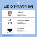 상록 동물병원 이미지