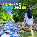 그늘막126 이미지