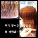 루시헤어샵 - 충주시 | 루시헤어샵