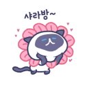 월드컵 스크린골프존 이미지