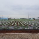 우솔농장 이미지