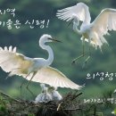 광산천 이미지