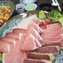 지우참치