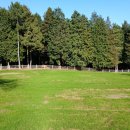 백록농장 | 4월 남해가볼만한곳 봄바람 따라 힐링했던 남해상상양떼목장편백숲 후기