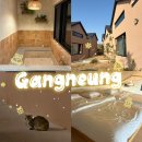 레이지키친 | 강릉 에어비앤비 숙박 : 조용하고 아늑한 자쿠지 독채 숙소 "레이지베어 3호 " 내돈내산 후기