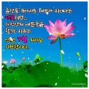 💐 7월의첫 일요일 아침편지/꿈꾸는 사랑 💐 이미지