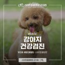 스마트동물병원 군자점 이미지