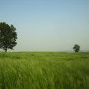 밍크목장 이미지