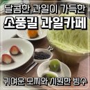 석포초등학교 | 부산생과일모찌 앙모찌 귀여운 대연동딸기모찌 맛집 소풍길 과일카페