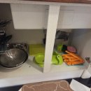 플로리다 봉봉 이미지