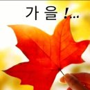 10월 10일 금요일 간추린 뉴스와 날씨 이미지