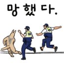 목우촌미소와돈
