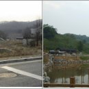 양지-3120 이미지