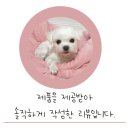 엠지소프트 이미지