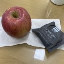 장윤주산부인과의원 | / 12월의 발자욱 / 눈이 오면 반드시 강아지가 됐던 시절을 그리며