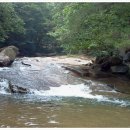 곡성-139 이미지