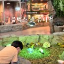 인천 서창 실내동물원 아이와함께 가볼만한 곳 특별한 체험 가능한 쥬벅스 앤 쥬니멀