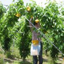 은식농장 이미지