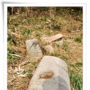 기예(技藝)에 통달한 양지(良志) 스님이 주석(駐錫)한 석장사지(錫杖寺址)